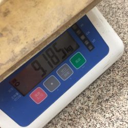 出た！メーター越え ショアブリ