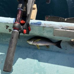 印南伝馬船庄門丸さんにて