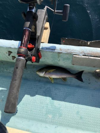 印南伝馬船庄門丸さんにて