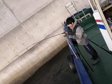 ロックフィッシュか