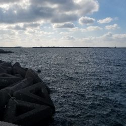 アジ釣り ~新年一発目、入れ食い!~