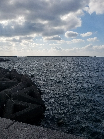 アジ釣り ~新年一発目、入れ食い!~