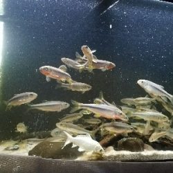 五目釣り ~冬はチョット釣りにくい~