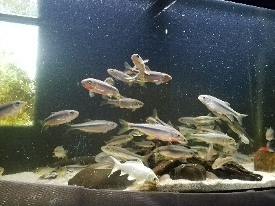 五目釣り ~冬はチョット釣りにくい~