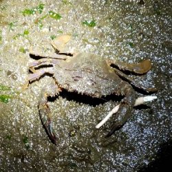 初釣りは厳しく…