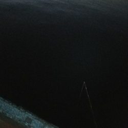 キス釣り ~1月にキス、ガシラ22センチ~