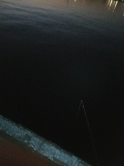 キス釣り ~1月にキス、ガシラ22センチ~