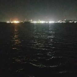 アジ釣り　～サビキ仕掛けにメバル～