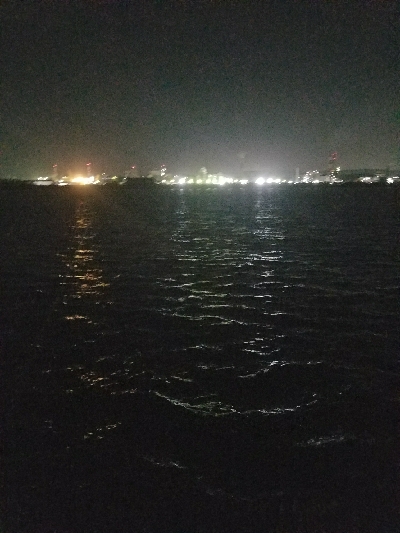 アジ釣り　～サビキ仕掛けにメバル～