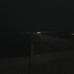 ガシラ釣り　～ちいさいなー～