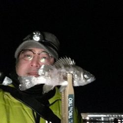 芦屋浜でもメバリング