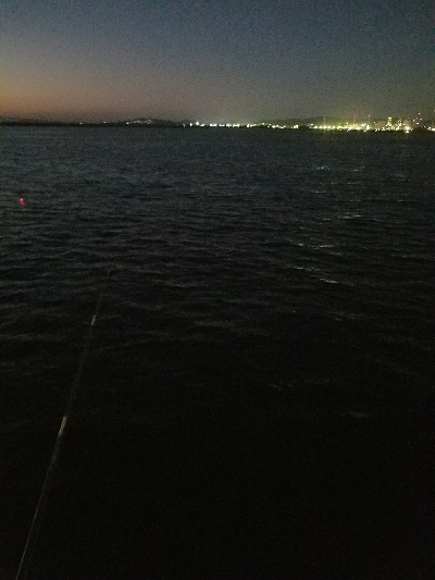 アジ釣り ~メバルも良い感じ?~