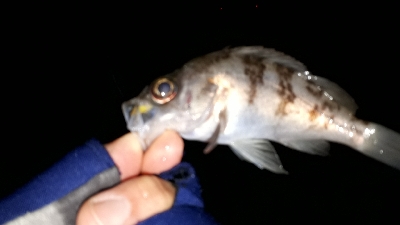 淡路島のポテンシャル２！