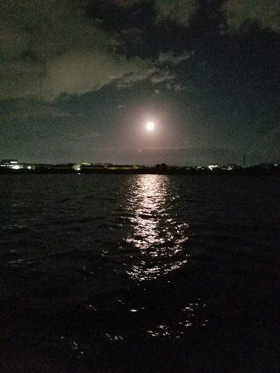 スズキ釣り　～代わりにアジメバル～