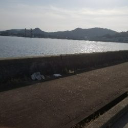 スズキ釣り ~63センチ、隻眼のハネ~