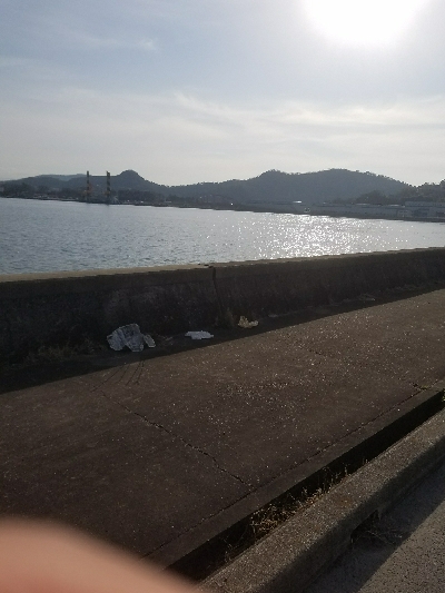 スズキ釣り ~63センチ、隻眼のハネ~