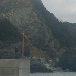 ガシラ釣り ~小さいのばーっかり~