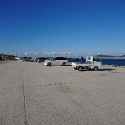 マアジからの丸アジ❗