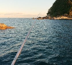 人生初イガミ釣りに挑戦