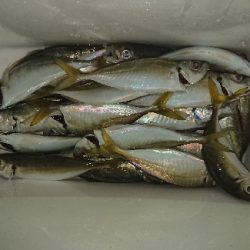 久々に満足、満足