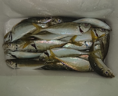 久々に満足、満足