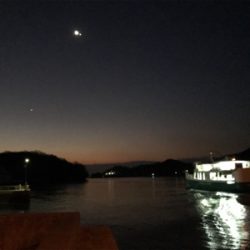 久々シーバスマルチ〜イイダコ