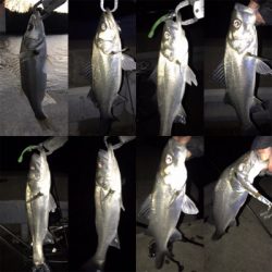 2日目（その2）プチ爆