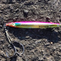 釣り初めはサワラダブル!!!