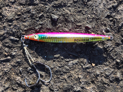 釣り初めはサワラダブル!!!