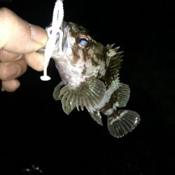 ライトゲームランガン