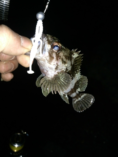 ライトゲームランガン