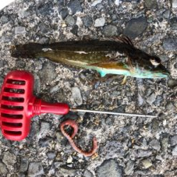 爆風ロックフィッシング