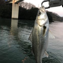 3日朝、引き続き好調のまま終了