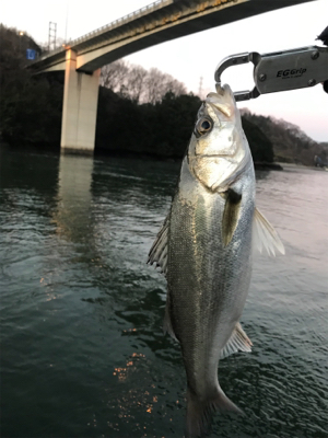 3日朝、引き続き好調のまま終了