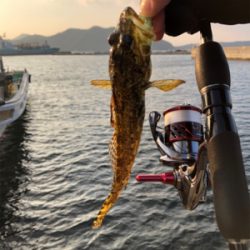 平成31年初釣り！