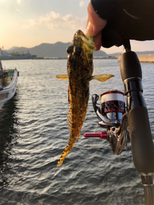 平成31年初釣り！