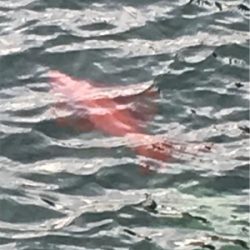 正月休みを利用して遠征