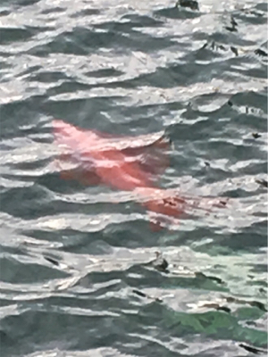 正月休みを利用して遠征