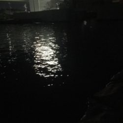 今年2回目で、25cmのメバル釣れました。