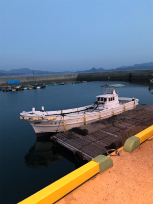 栖本ライトゲーム