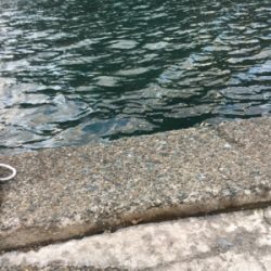 デイライトゲーム