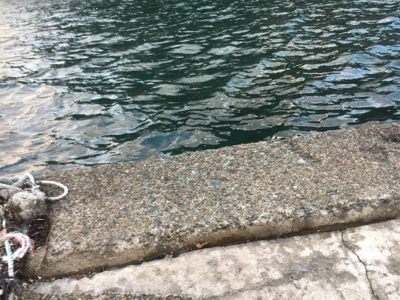 デイライトゲーム