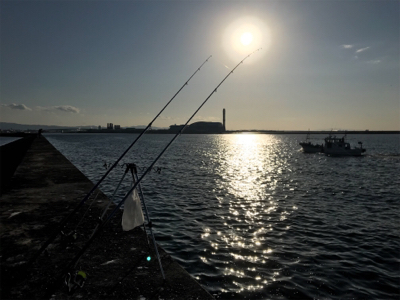 岸和田一文字でカレイ!