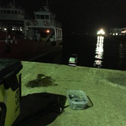 40分のプチ1091のヒイカ釣り\(^^)/