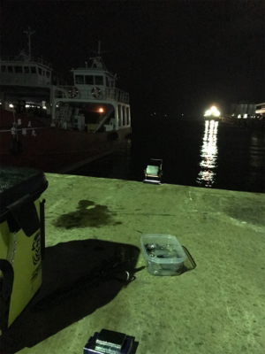 40分のプチ1091のヒイカ釣り\(^^)/