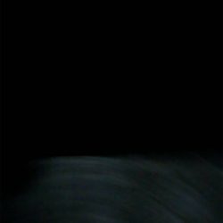 ナイトロックフィッシュ