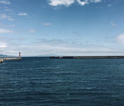 メバリング調査！