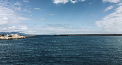 メバリング調査！