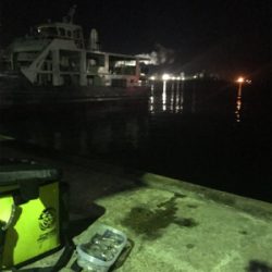 -2℃ 極寒の中でのヒイカ釣りσ(^_^;)