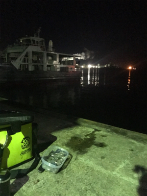 -2℃ 極寒の中でのヒイカ釣りσ(^_^;)